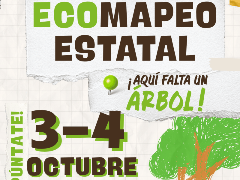 Actividad: Ecomapeo Estatal